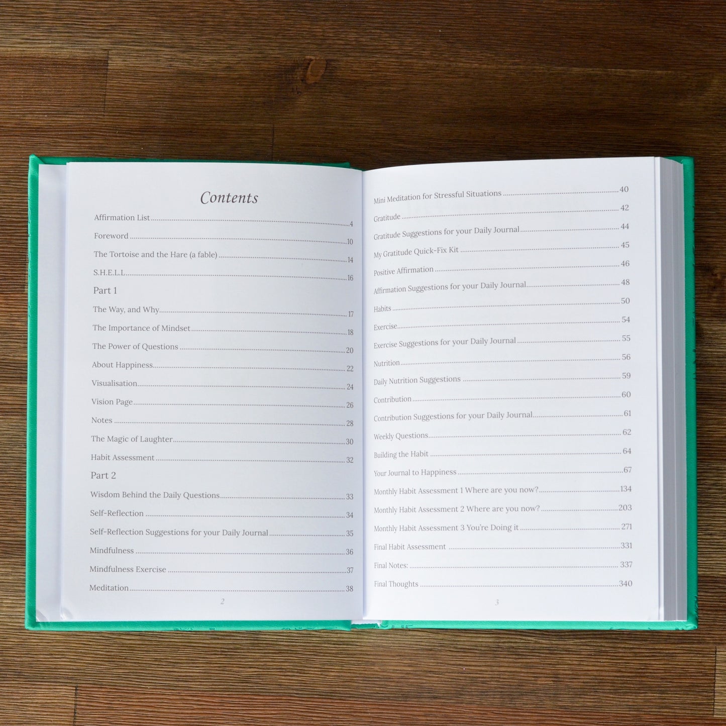 A Journal to Happiness - The Way of the Tortoise