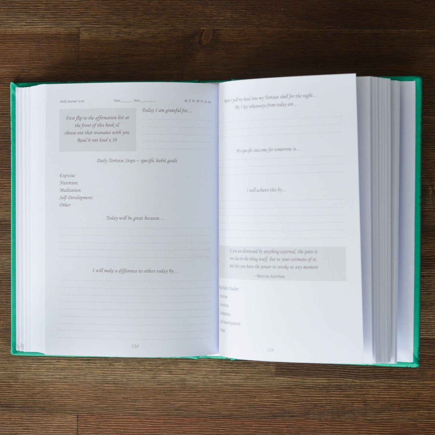 A Journal to Happiness - The Way of the Tortoise