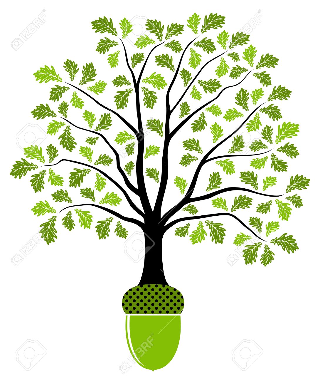 Acorns, Tortoises and Meditation