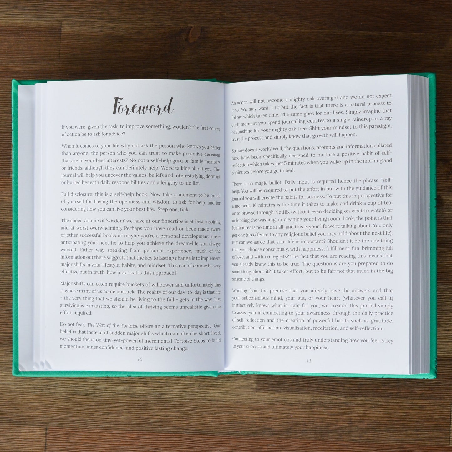 A Journal to Happiness - The Way of the Tortoise