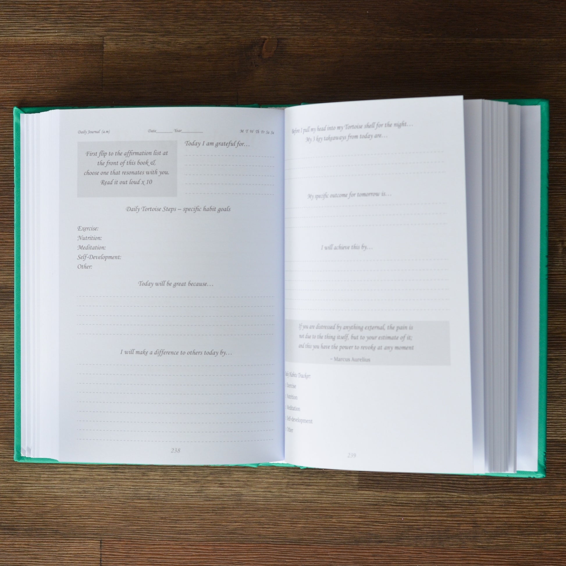 A Journal to Happiness - The Way of the Tortoise